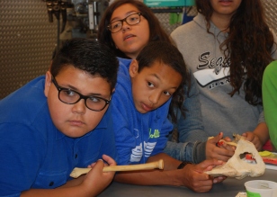 At the Orthopaedic Research Lab at UCSF, DaVinci Camp scholars learn about bones.